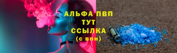 стафф Каменногорск