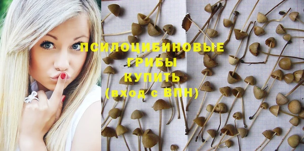 стафф Каменногорск