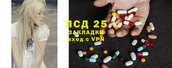 амф Вуктыл