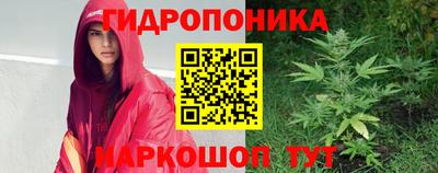 a pvp Кандалакша