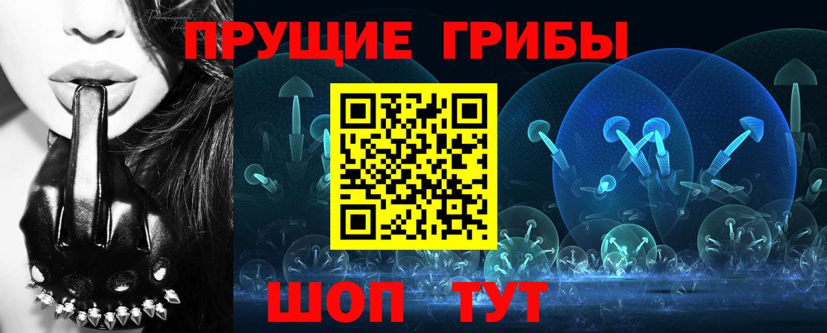 Псилоцибиновые грибы мицелий  Псилоцибиновые грибы MAGIC MUSHROOMS  Вход с VPN  Карталы 